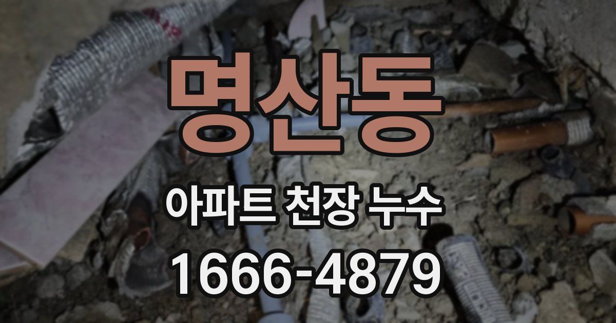 명산동 아파트 천장 누수