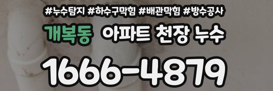 개복동 아파트 천장 누수