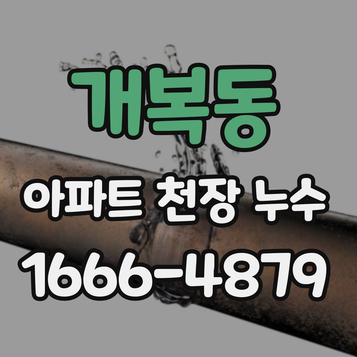 개복동 아파트 천장 누수