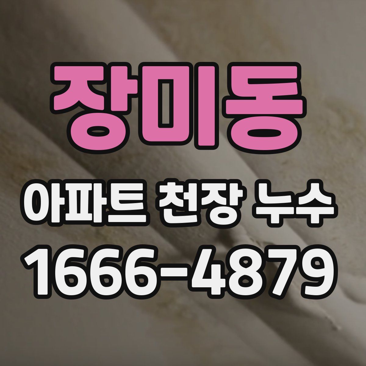 장미동 아파트 천장 누수
