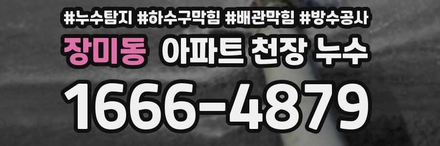 장미동 아파트 천장 누수