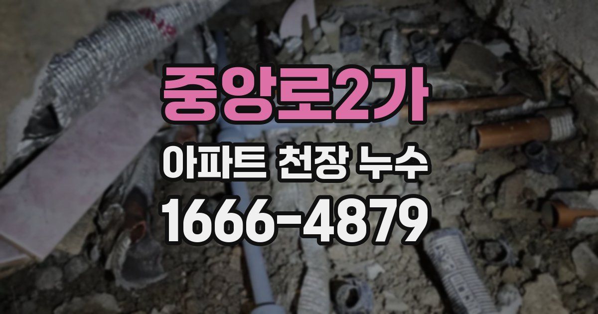 중앙로2가 아파트 천장 누수