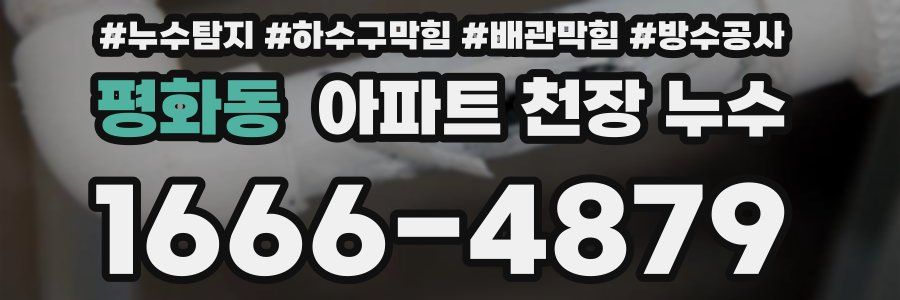 평화동 아파트 천장 누수