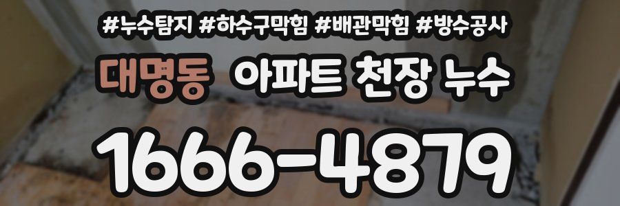 대명동 아파트 천장 누수