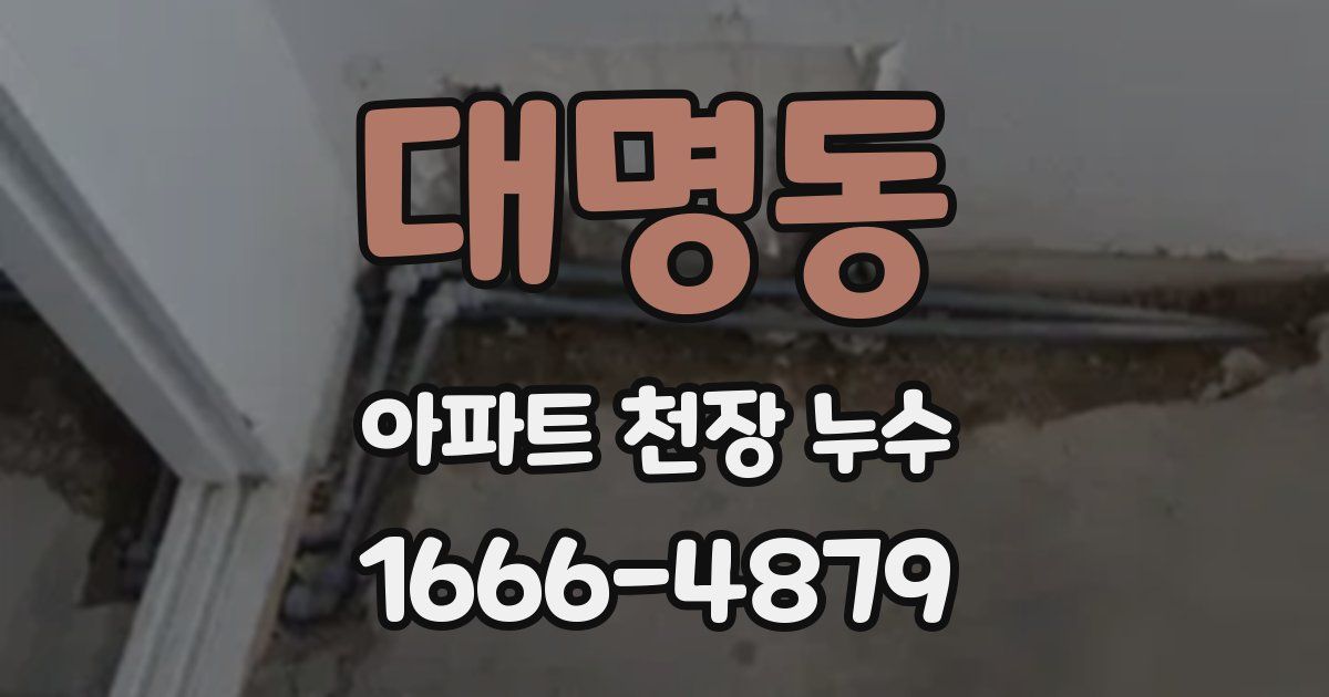 대명동 아파트 천장 누수
