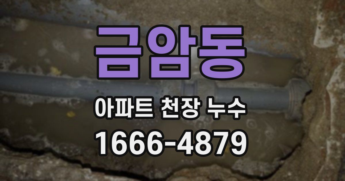 금암동 아파트 천장 누수