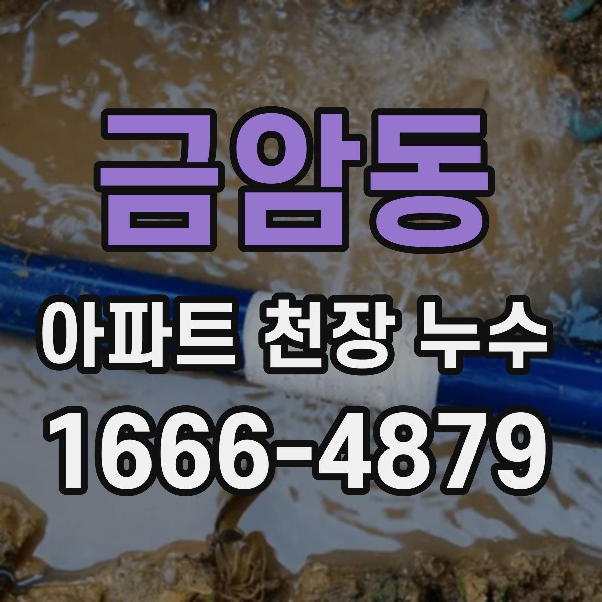 금암동 아파트 천장 누수