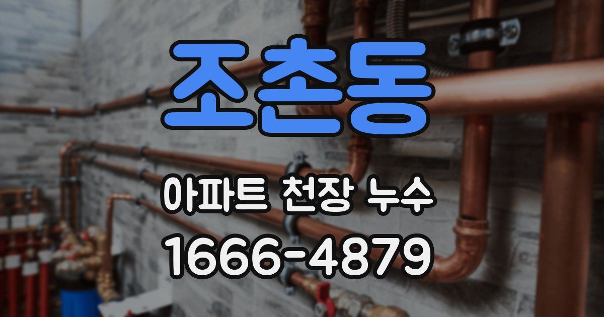 조촌동 아파트 천장 누수