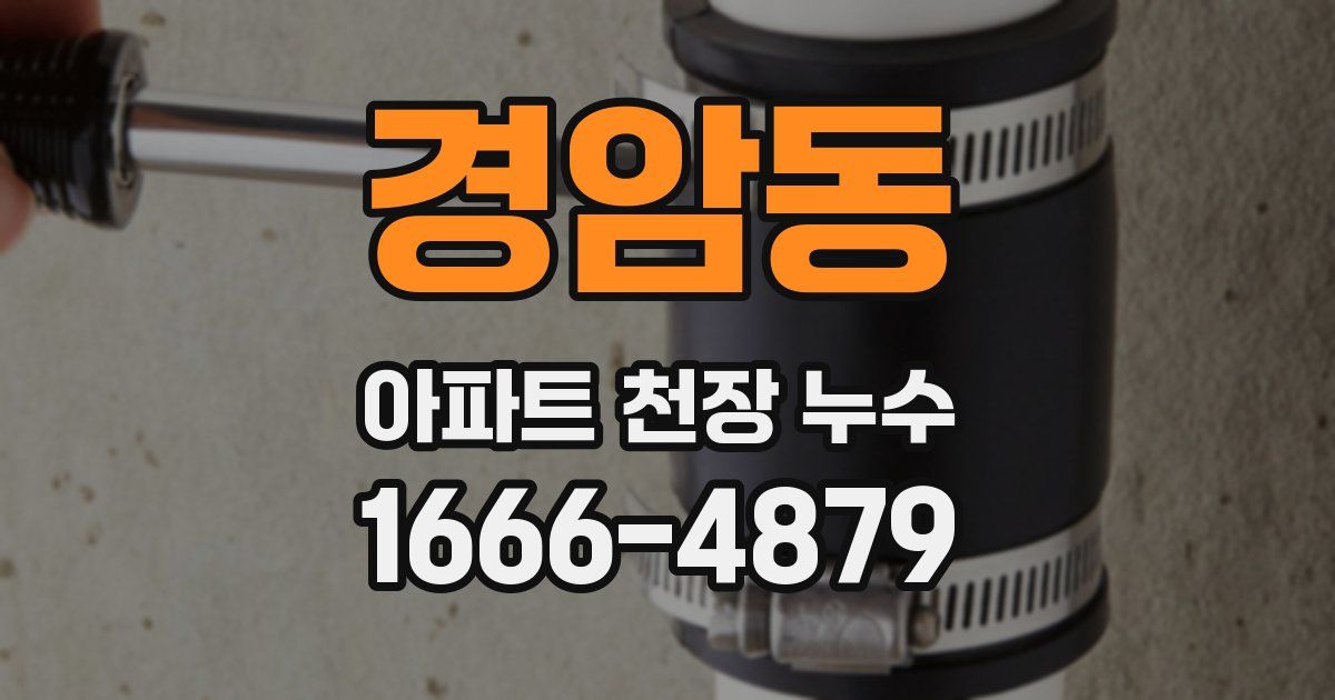 경암동 아파트 천장 누수