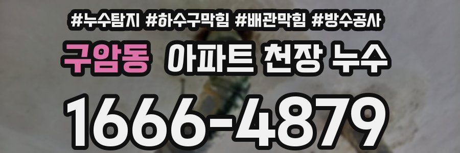 구암동 아파트 천장 누수