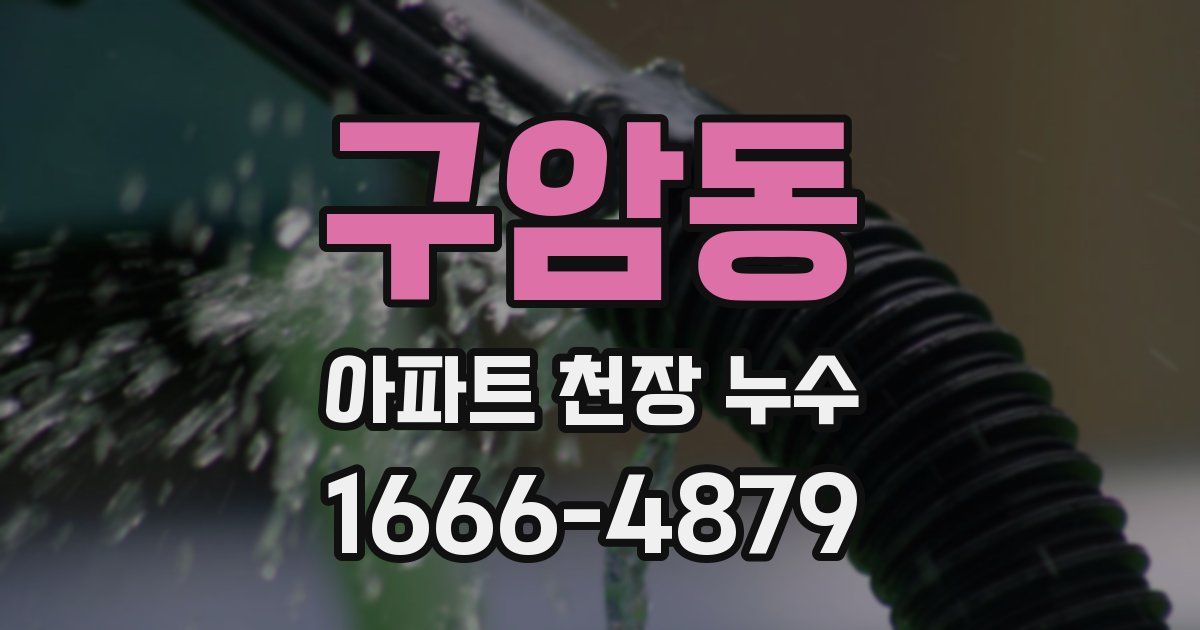 구암동 아파트 천장 누수