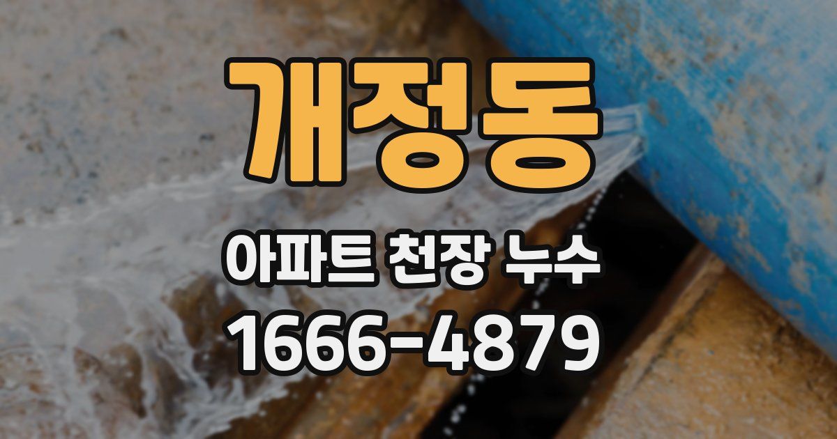 개정동 아파트 천장 누수