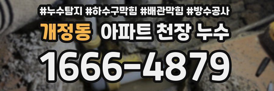 개정동 아파트 천장 누수