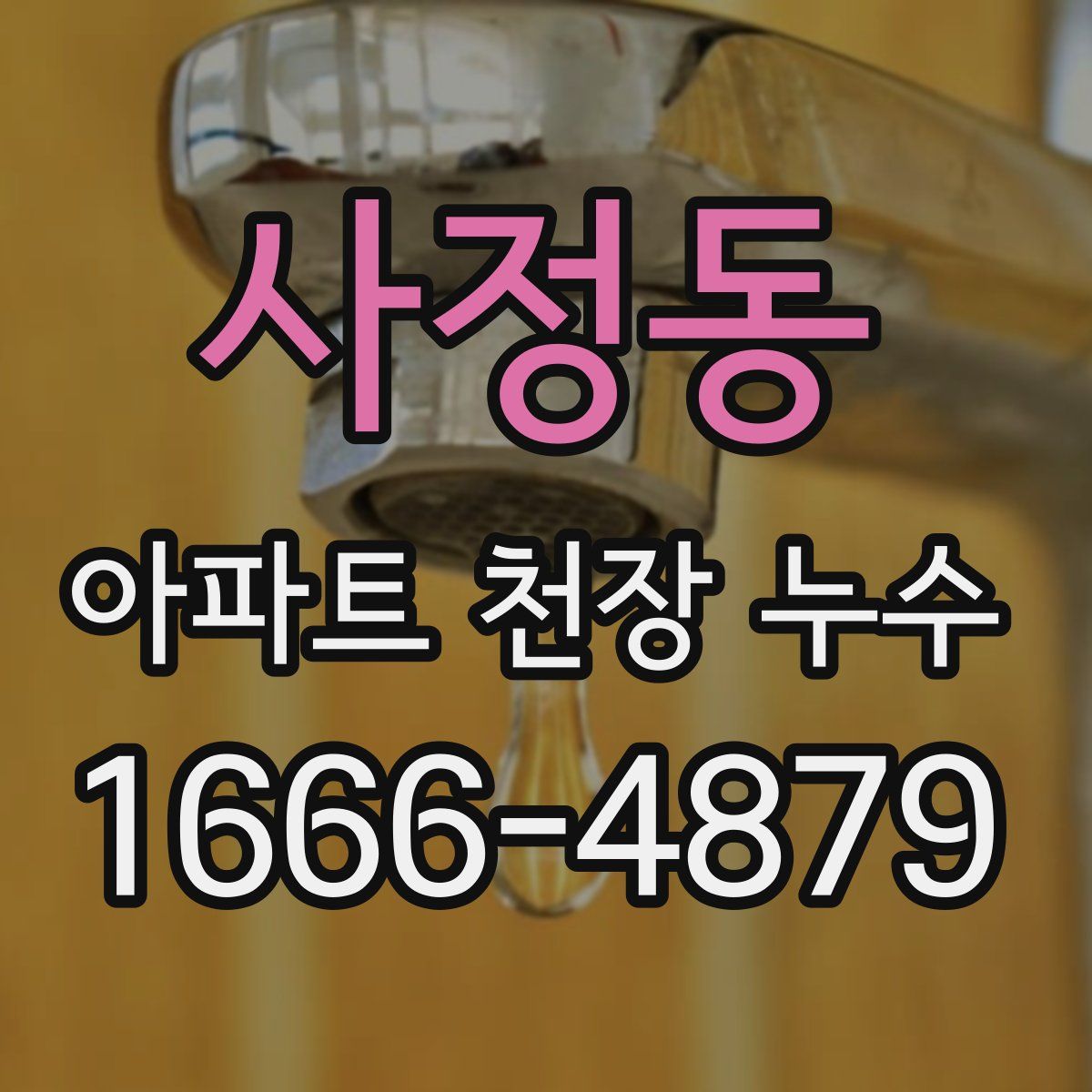 사정동 아파트 천장 누수
