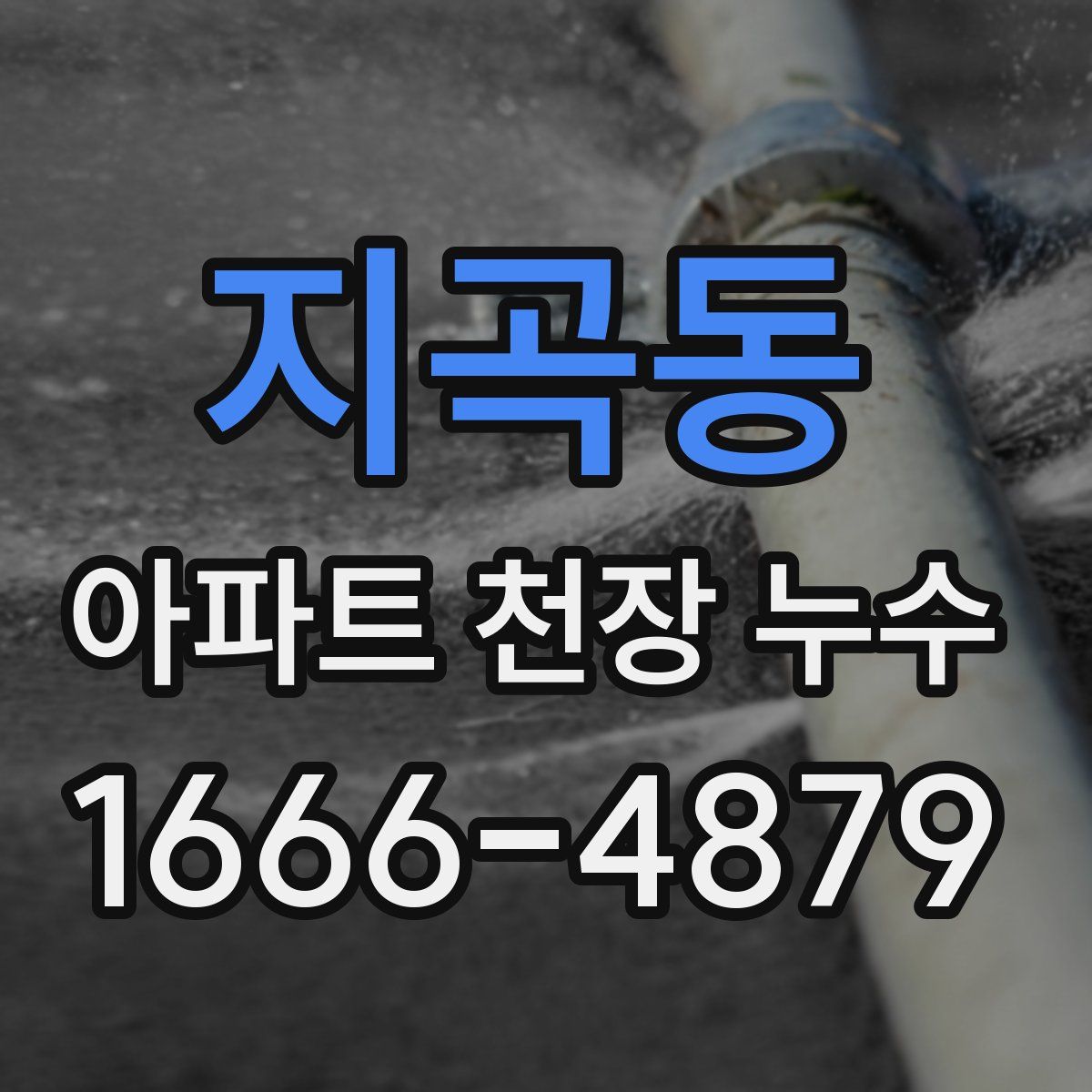 지곡동 아파트 천장 누수