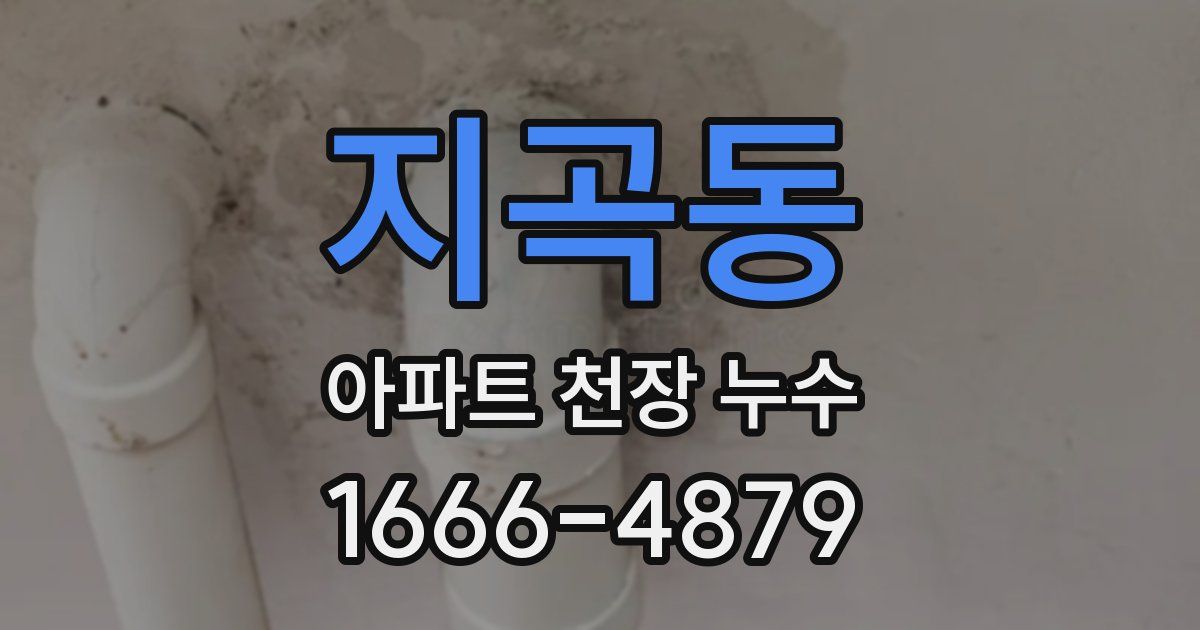 지곡동 아파트 천장 누수