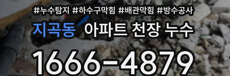 지곡동 아파트 천장 누수