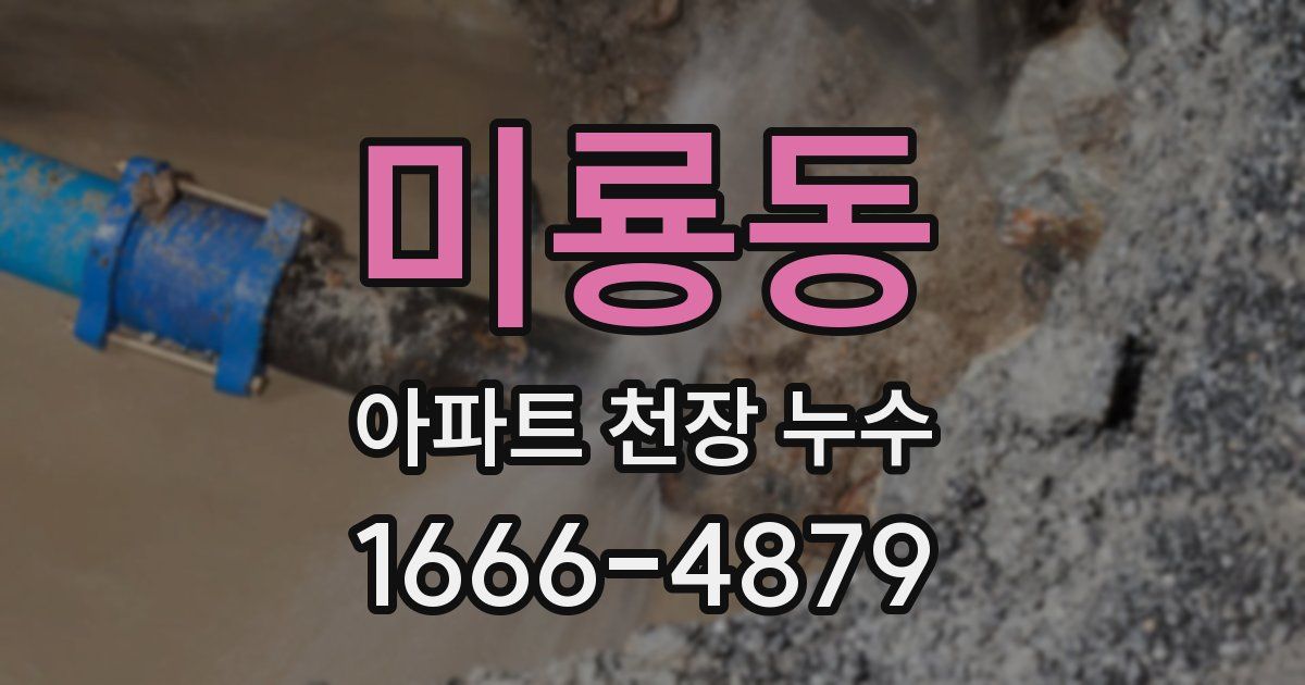 미룡동 아파트 천장 누수