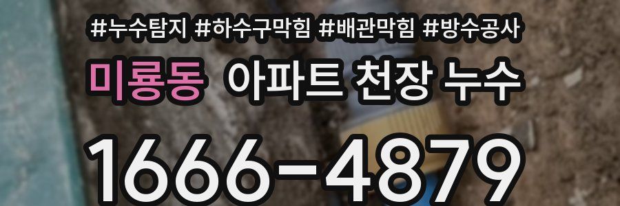 미룡동 아파트 천장 누수