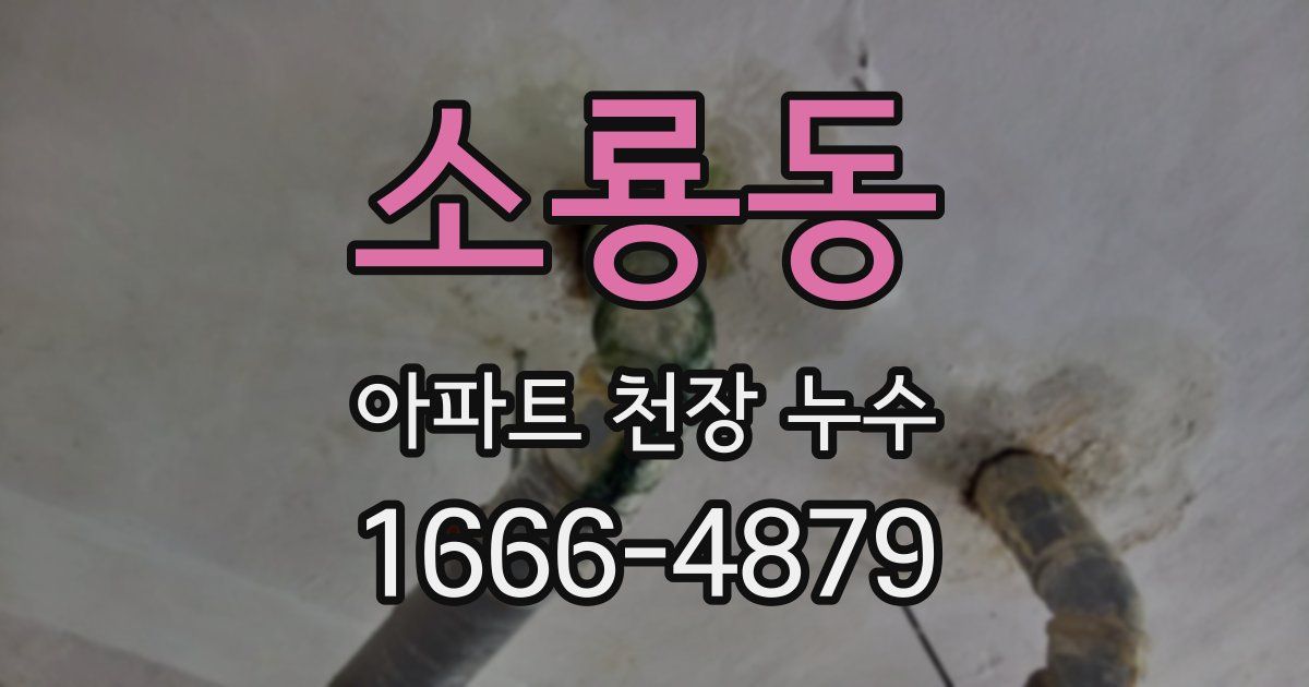소룡동 아파트 천장 누수