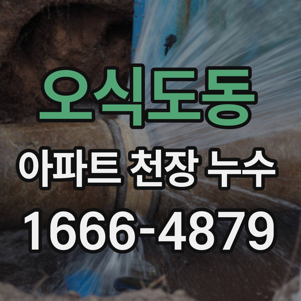 오식도동 아파트 천장 누수
