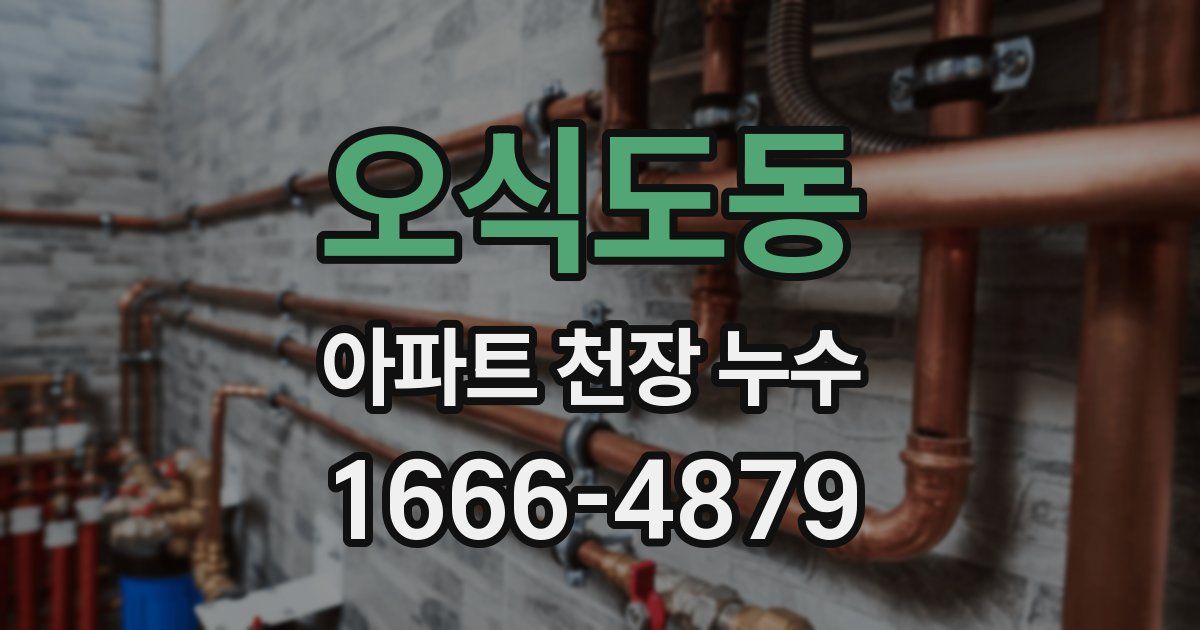 오식도동 아파트 천장 누수