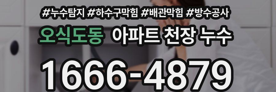 오식도동 아파트 천장 누수