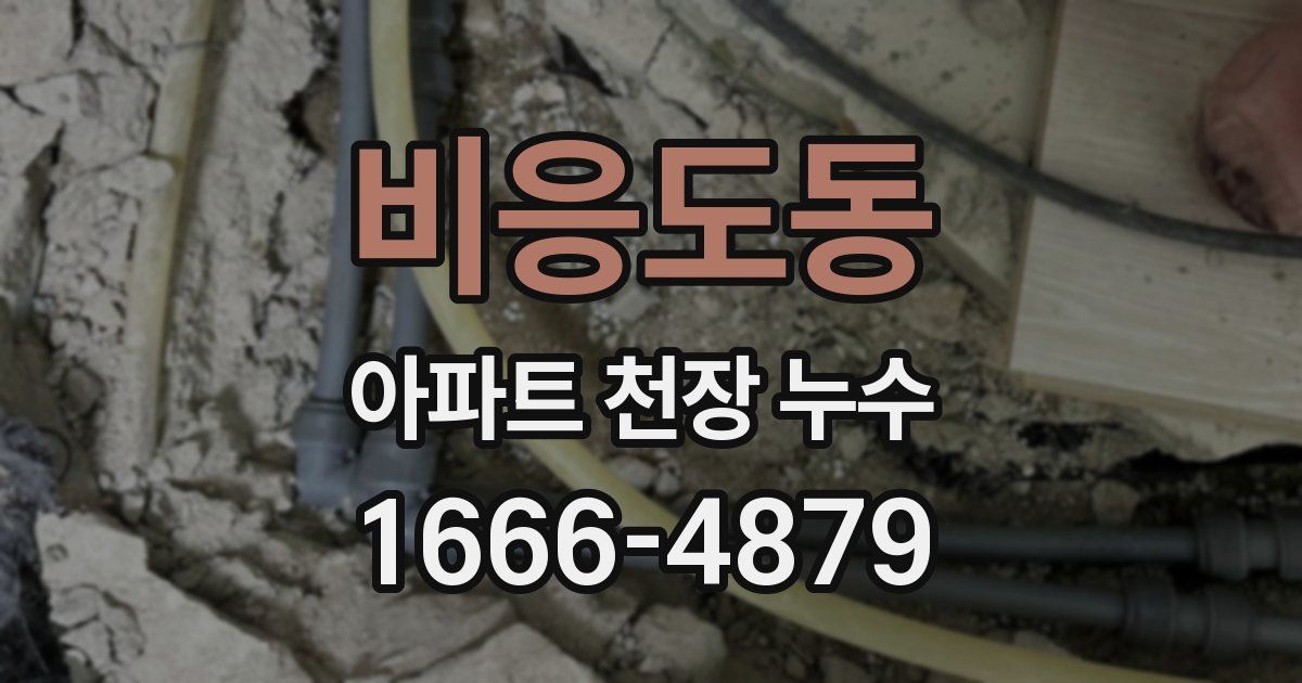 비응도동 아파트 천장 누수