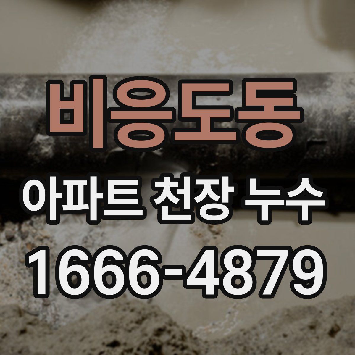 비응도동 아파트 천장 누수