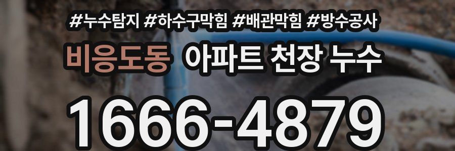비응도동 아파트 천장 누수
