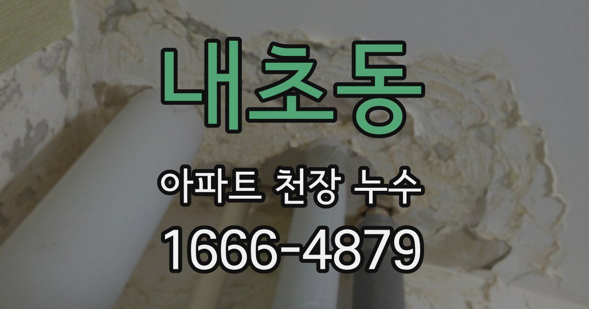 내초동 아파트 천장 누수