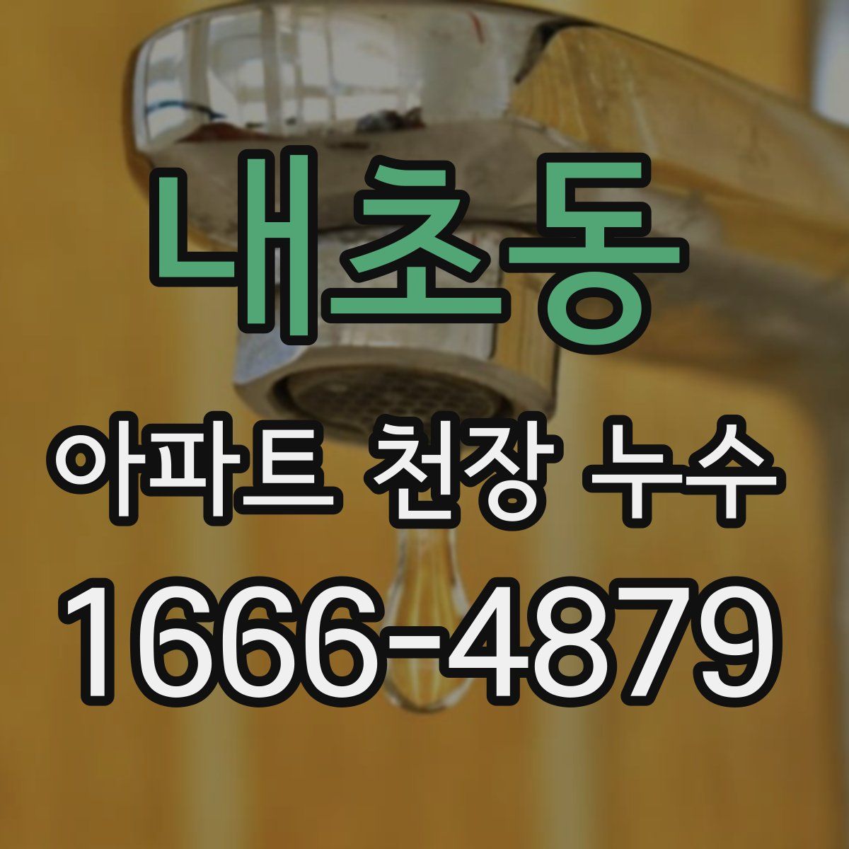 내초동 아파트 천장 누수