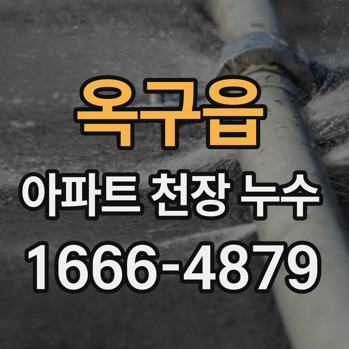 옥구읍 아파트 천장 누수
