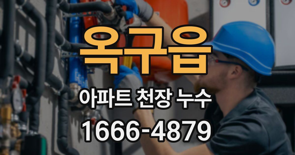 옥구읍 아파트 천장 누수