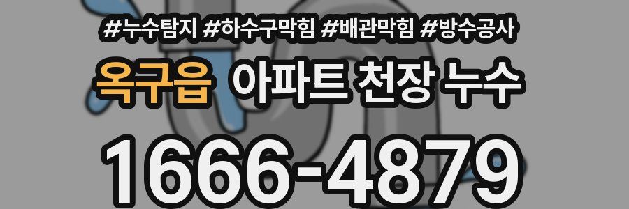 옥구읍 아파트 천장 누수