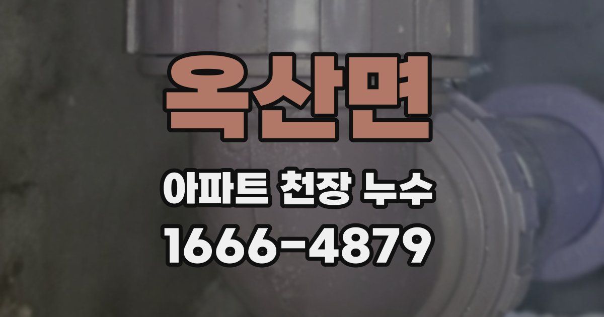옥산면 아파트 천장 누수