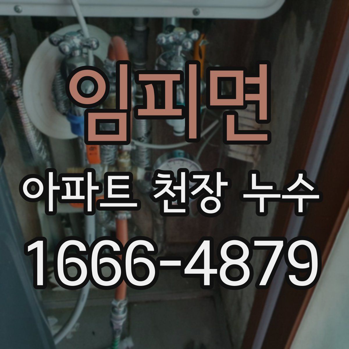 임피면 아파트 천장 누수