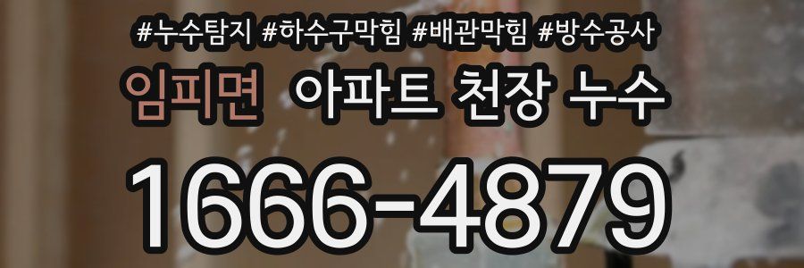 임피면 아파트 천장 누수