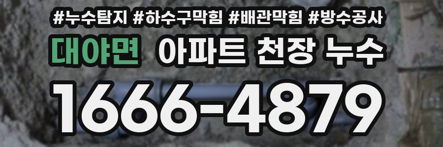 대야면 아파트 천장 누수