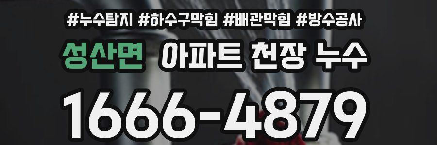 성산면 아파트 천장 누수