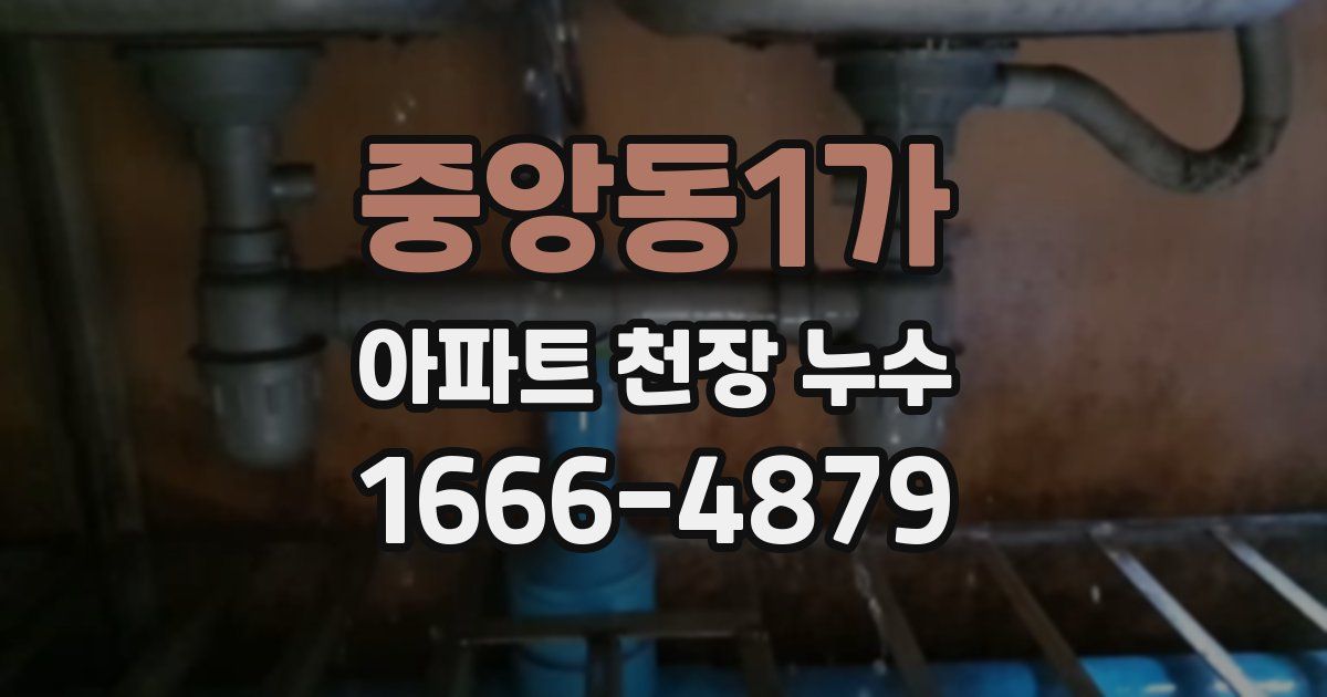중앙동1가 아파트 천장 누수