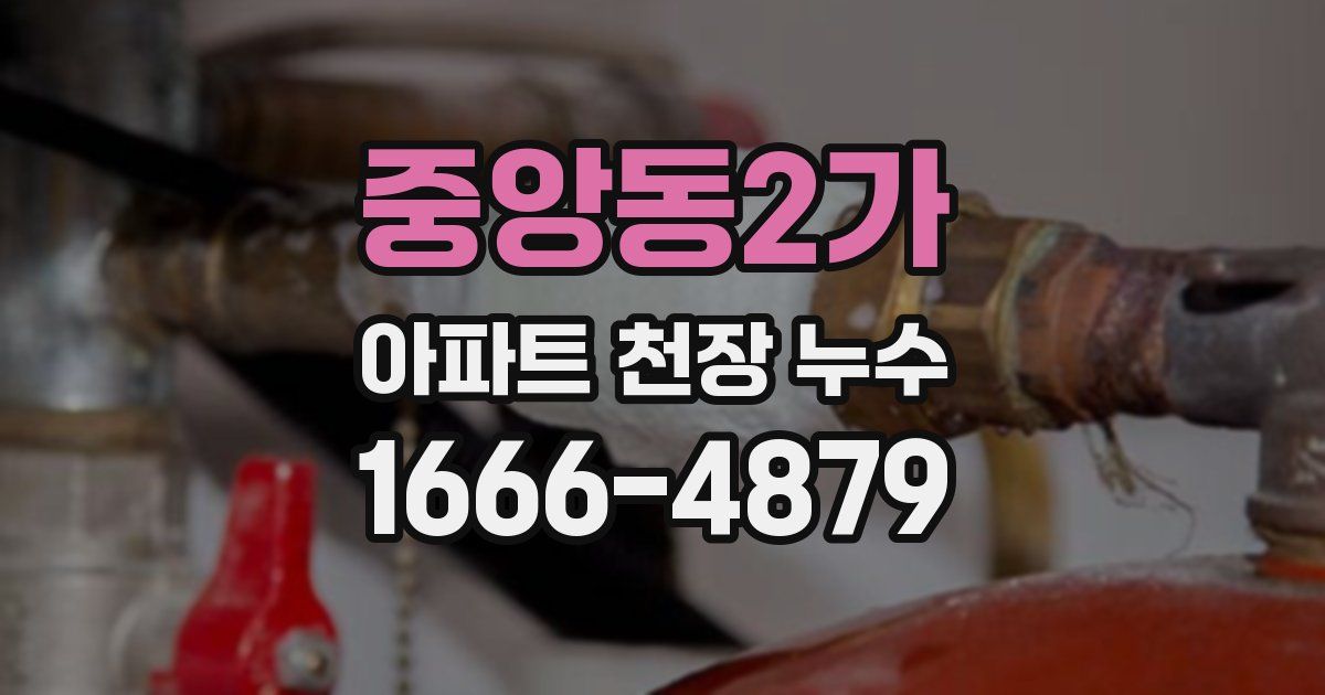 중앙동2가 아파트 천장 누수