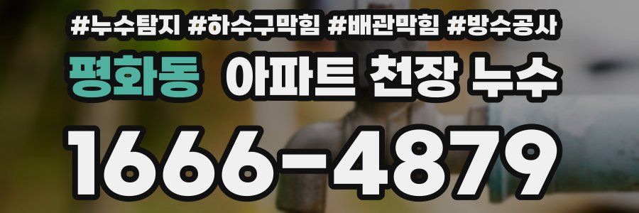 평화동 아파트 천장 누수