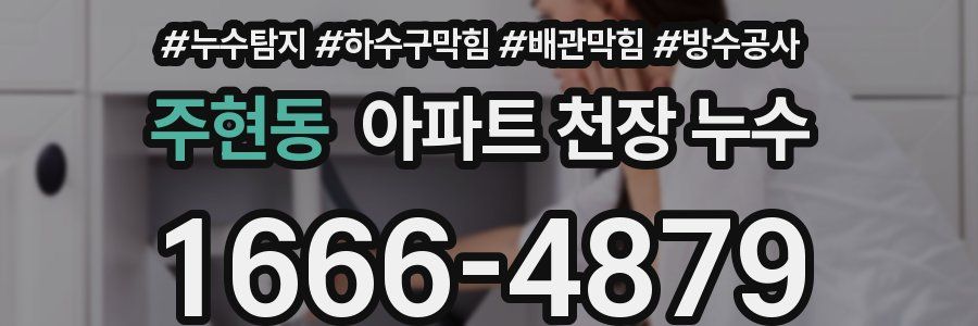 주현동 아파트 천장 누수