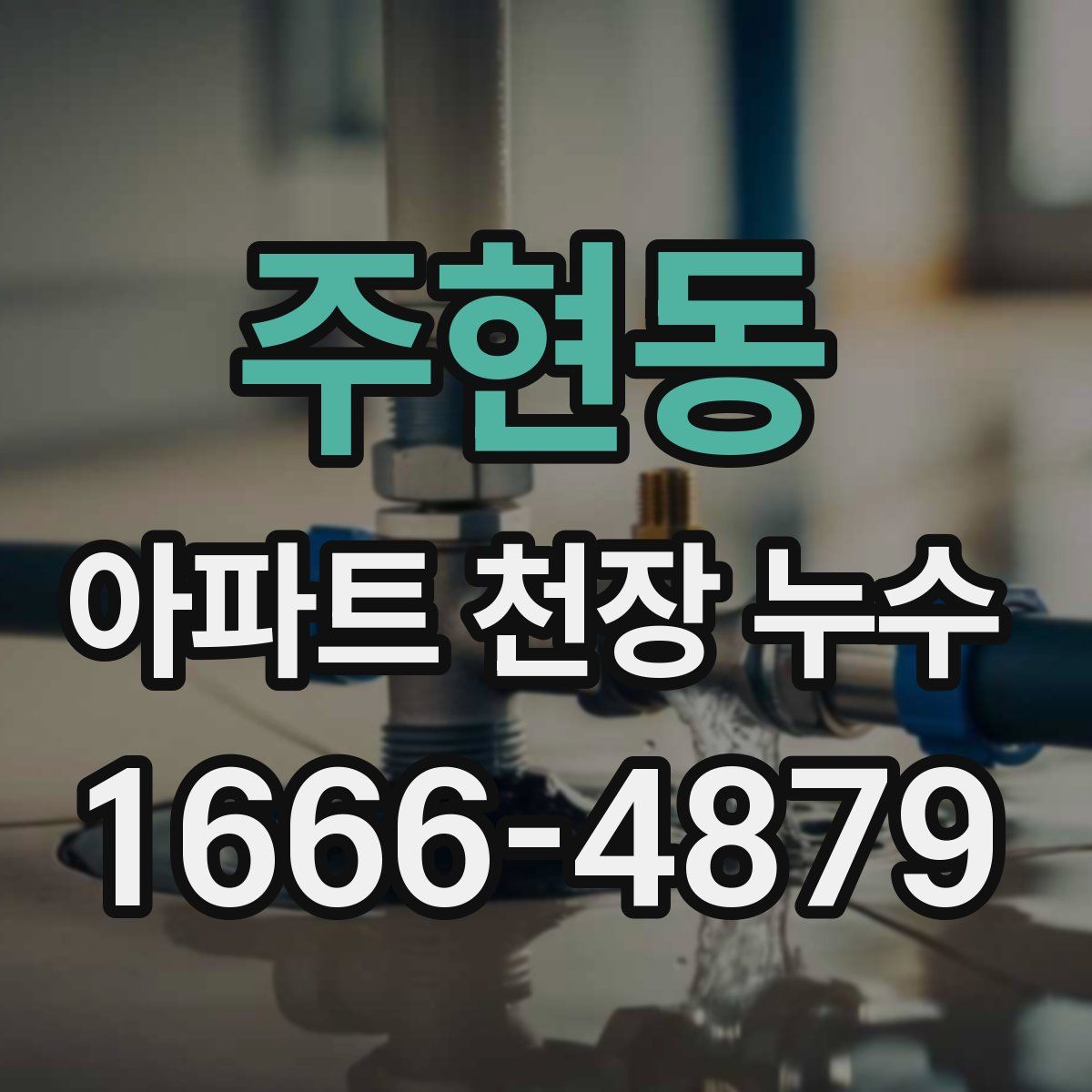주현동 아파트 천장 누수