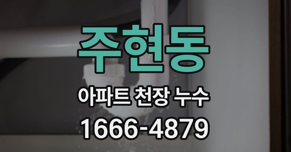 주현동 아파트 천장 누수
