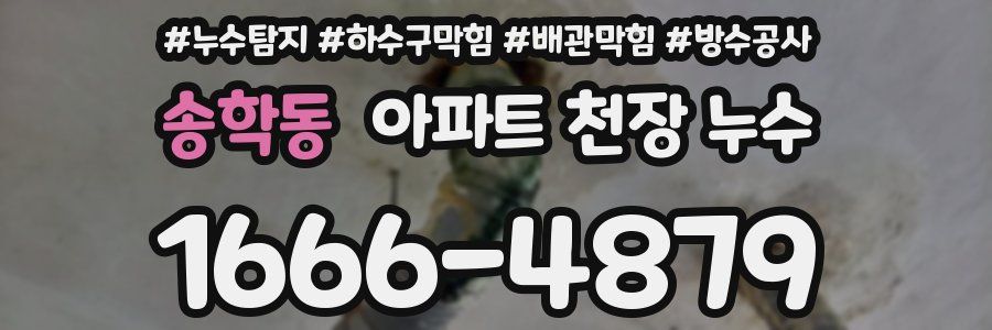 송학동 아파트 천장 누수