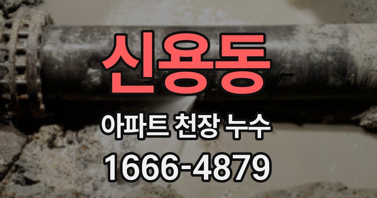 신용동 아파트 천장 누수