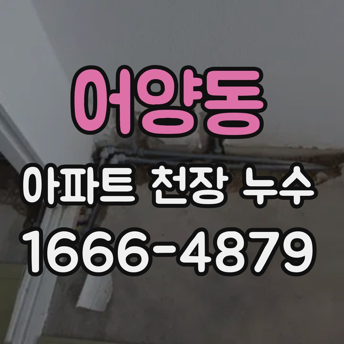 어양동 아파트 천장 누수