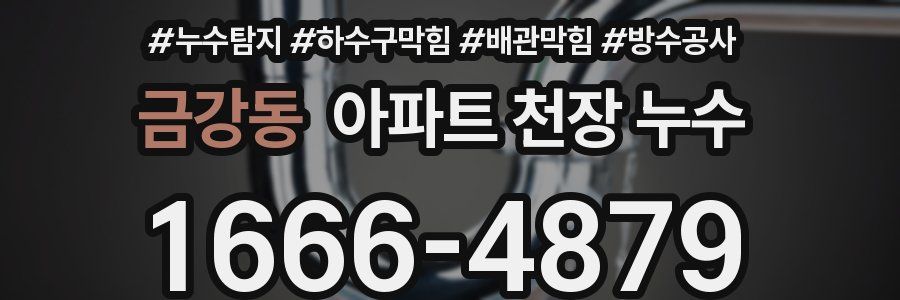 금강동 아파트 천장 누수